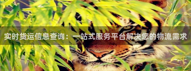 加拿大多多28是什么：实时货运信息查