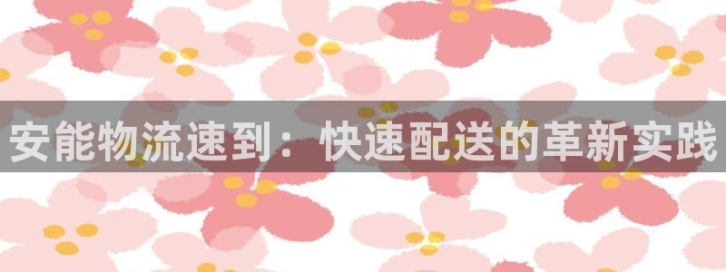 多多28APP是干什么的：安能物流速