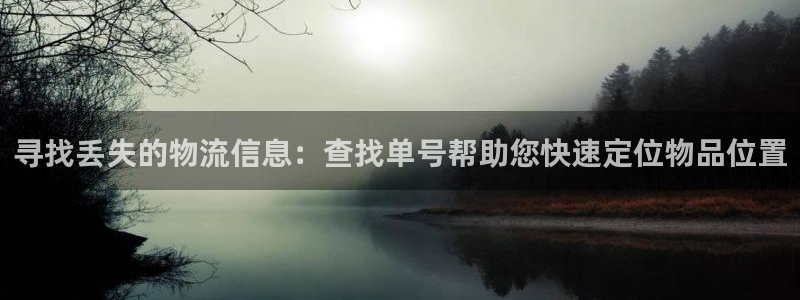 多多28模拟器在线使用：寻找丢失的物