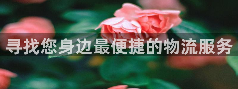 多多28自行车图片：寻找您身边最便捷