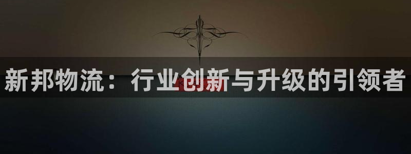 多多28分分28预测：新邦物流：行业