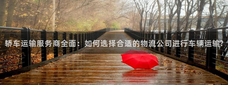 多多28为什么打不开：轿车运输服务商