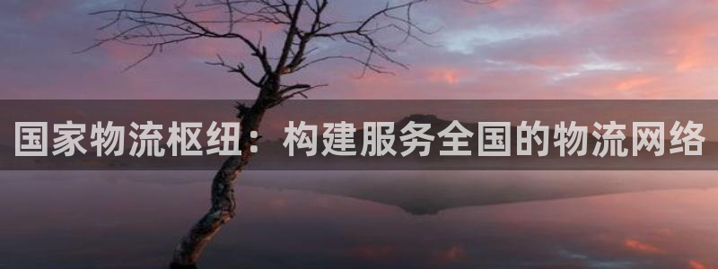 多多28是干嘛的：国家物流枢纽：构建