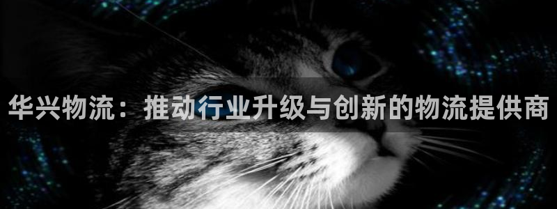 多多28怎么注册游戏名字：华兴物流：