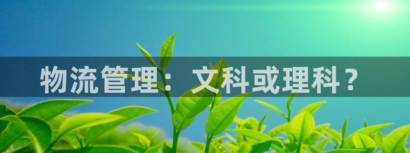 多多28p扣款什么意思：物流管理：文