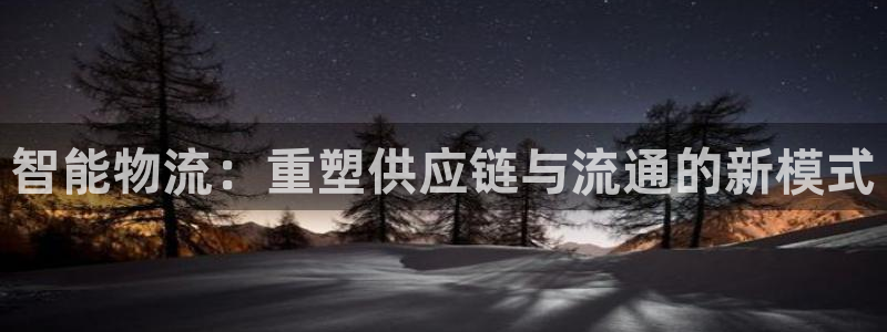 多多28软件有什么用：智能物流：重塑供应链与流通的新模式