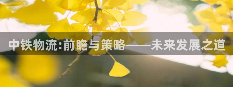 多多28龙虎：中铁物流:前瞻与策略—