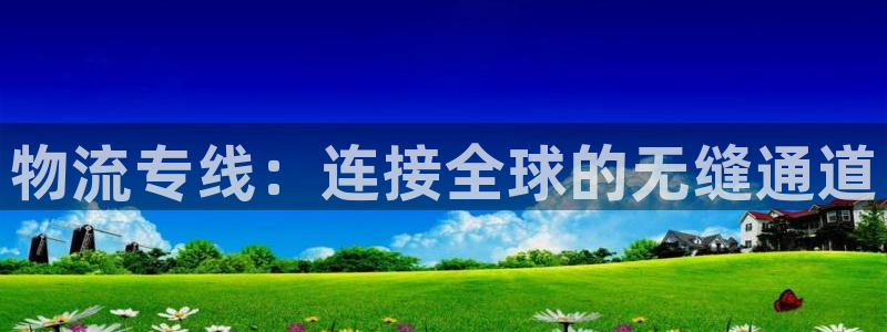 多多28游戏最新版：物流专线：连接全