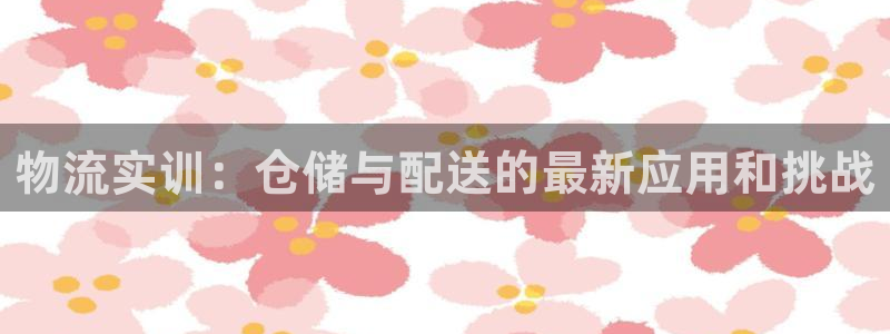 多多28和南宫28什么关系：物流实训