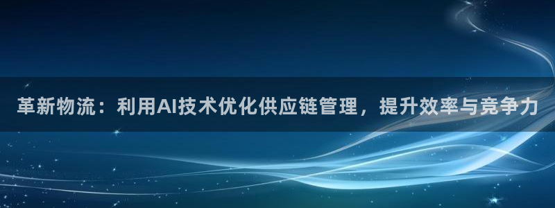 多多28加拿大6.0：革新物流：利用