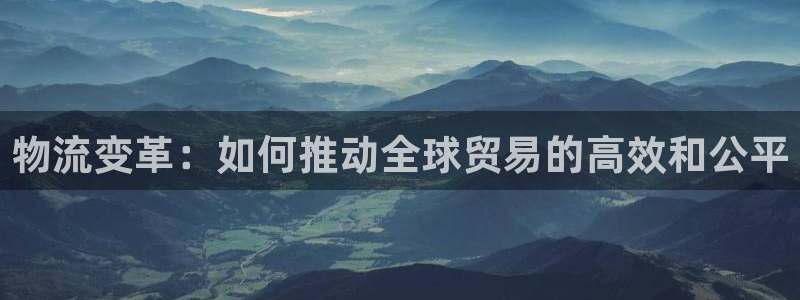 多多28能退款吗：物流变革：如何推动