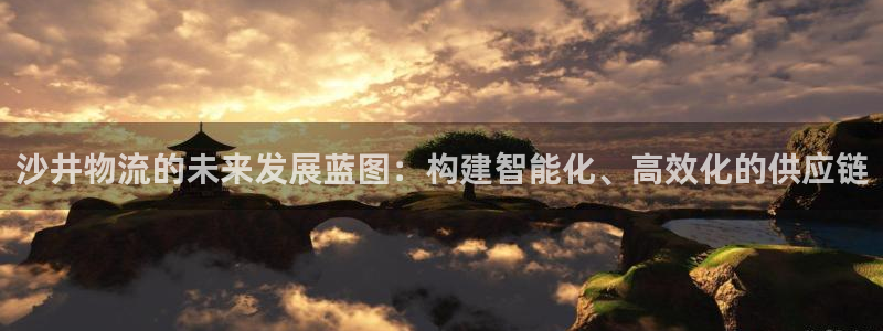 多多28ccm官网版：沙井物流的未来