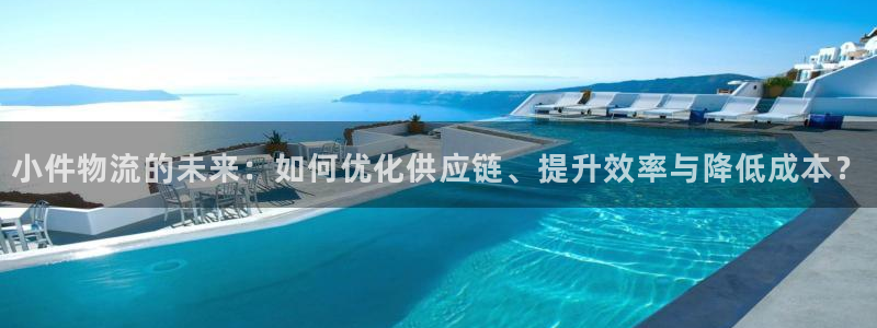 多多28官网入口pc29官网版下载：小件物流的未来：如何优化