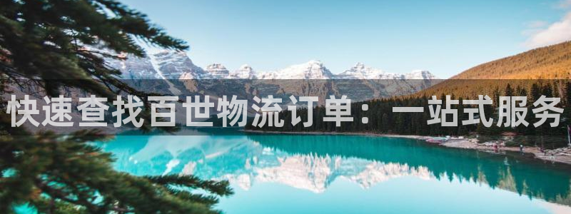 多多28怎么注册账号：快速查找百世物