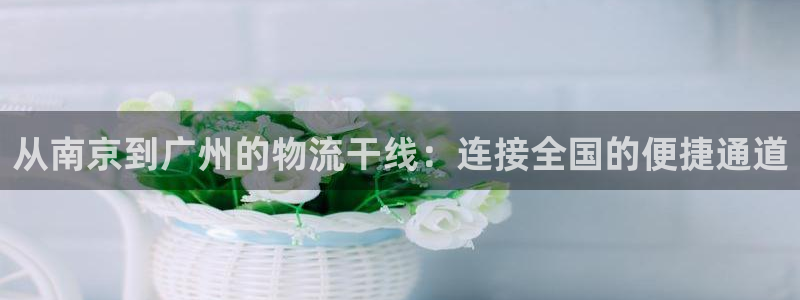 多多28登录网：从南京到广州的物流干