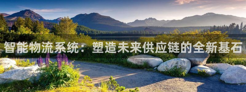 多多28游戏官网版：智能物流系统：塑造未来供应链的全新基石