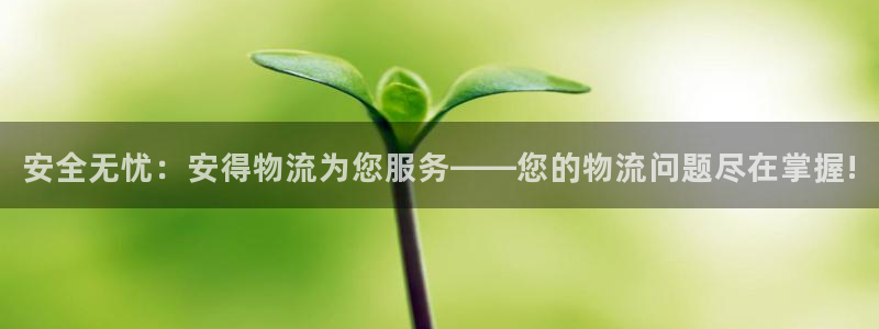 多多28登录网：安全无忧：安得物流为