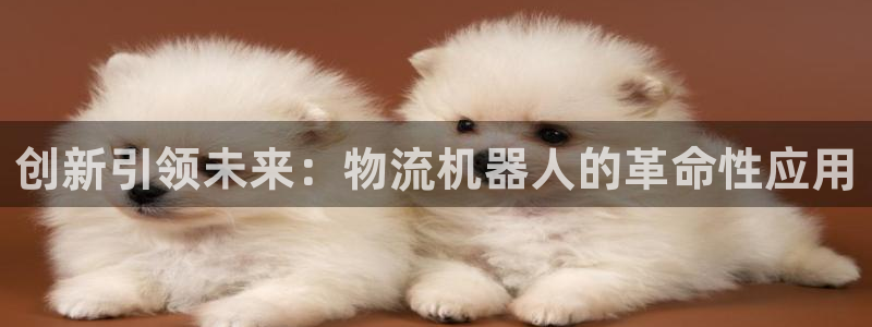 多多28下载二维码怎么弄：创新引领未