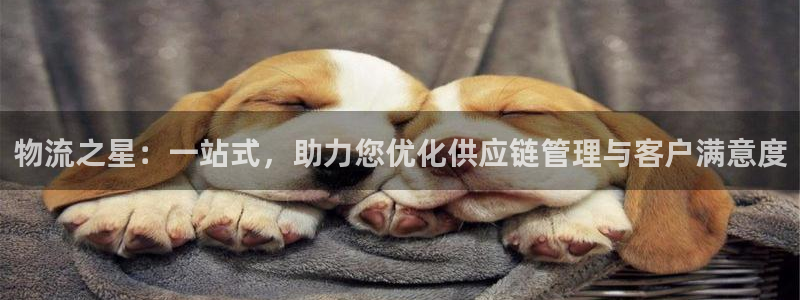 多多28正规吗：物流之星：一站式，助
