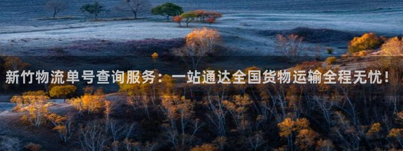 多多28v6能卖多少：新竹物流单号查