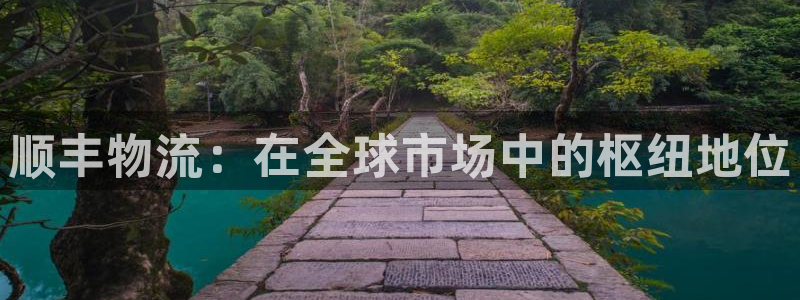 南宫多多28官网版：顺丰物流：在全球