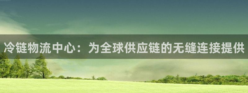 多多28模拟器：冷链物流中心：为全球