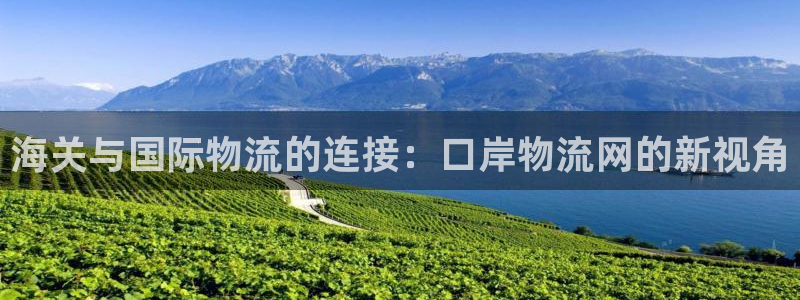 多多28平台注册：海关与国际物流的连