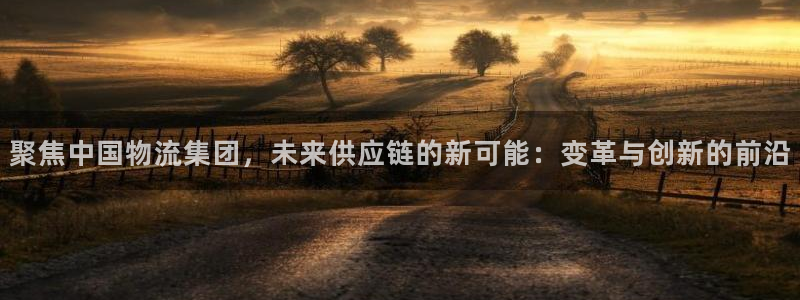 多多28官网入口pc正版：聚焦中国物